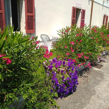 Albergo Grifone 1891 Peschiera del Garda Exteriér fotografie